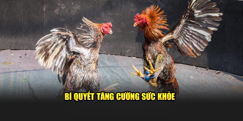 Bí quyết tăng cường sức khỏe 