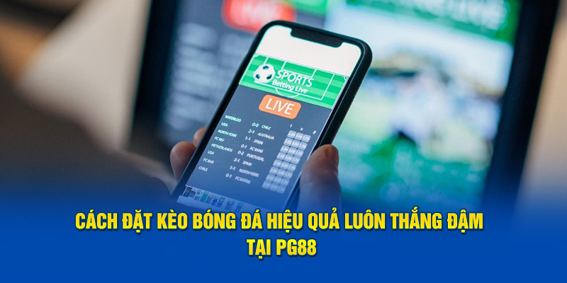 Cách Đặt Kèo Bóng Đá Hiệu Quả Luôn Thắng Đậm Tại PG88