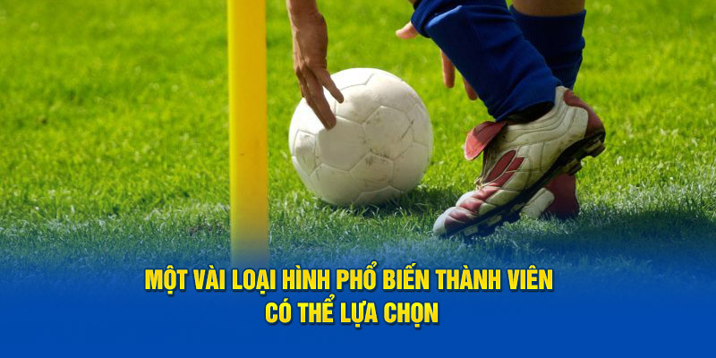 Một vài loại hình phổ biến thành viên có thể lựa chọn