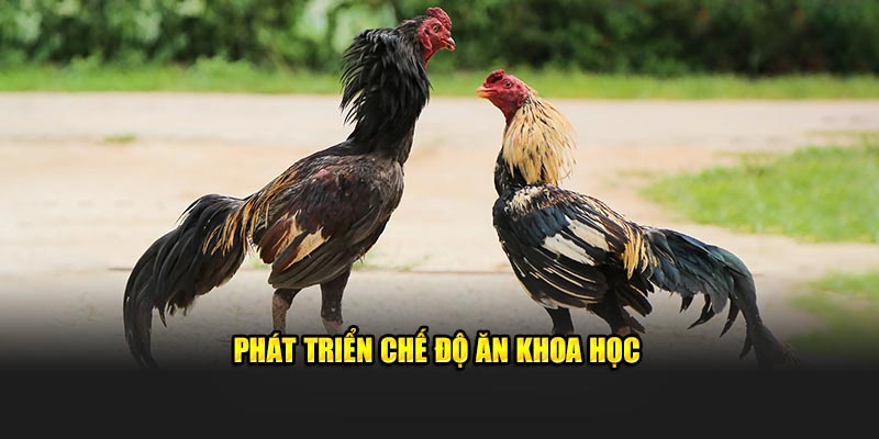 Phát triển chế độ ăn khoa học