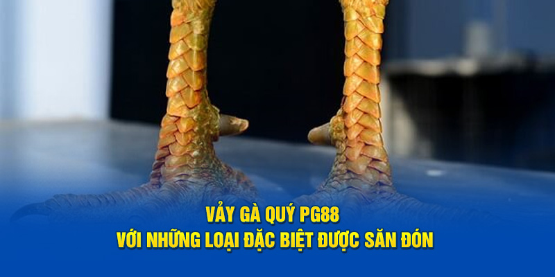 Vảy Gà Quý PG88 Với Những Loại Đặc Biệt Được Săn Đón